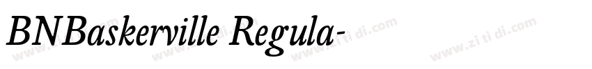 BNBaskerville Regula字体转换